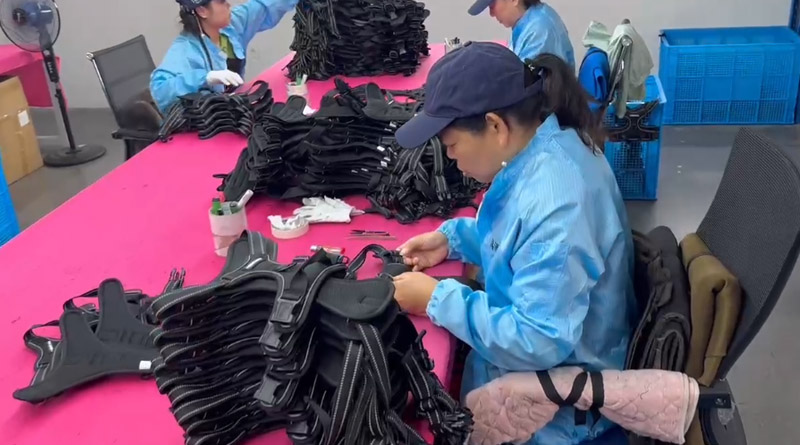 米兰milan中国宠物，无处不在
