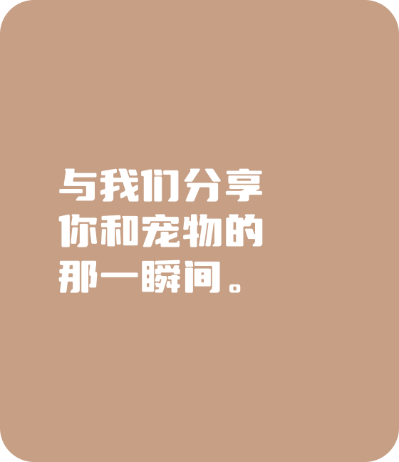 米兰milan中国宠物，无处不在